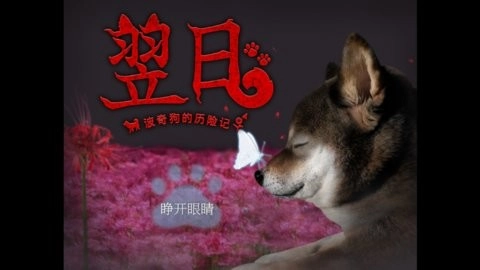 翌日波奇狗的历险记