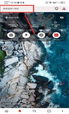 Brave浏览器中文版图4