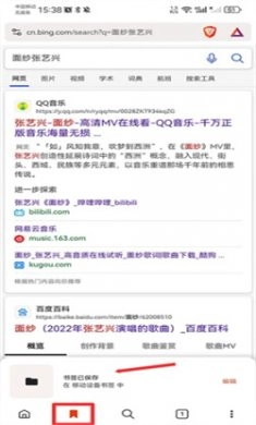 Brave浏览器中文版图2