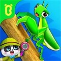 奇妙昆虫日记(InsectDiary) v9.77.00.00