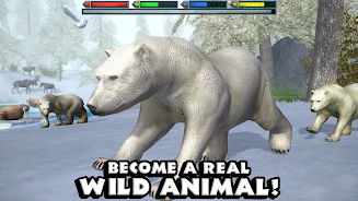终极北极熊模拟器(ArcticSim)(2)