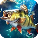 欢乐钓鱼大师国际版