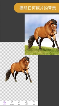 ProKnockout专业抠图(Proknockout-MixPhotoEditor)