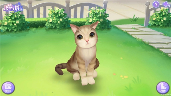 喵与筑无限猫爪版