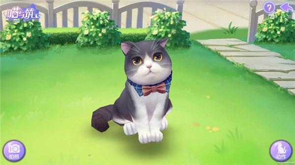 喵与筑无限猫爪版