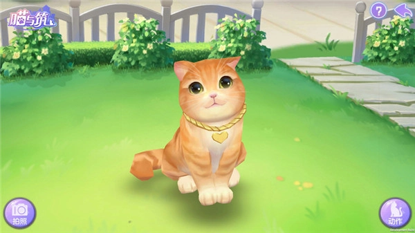 喵与筑无限猫爪版