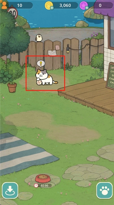 神秘猫咪字典最新版