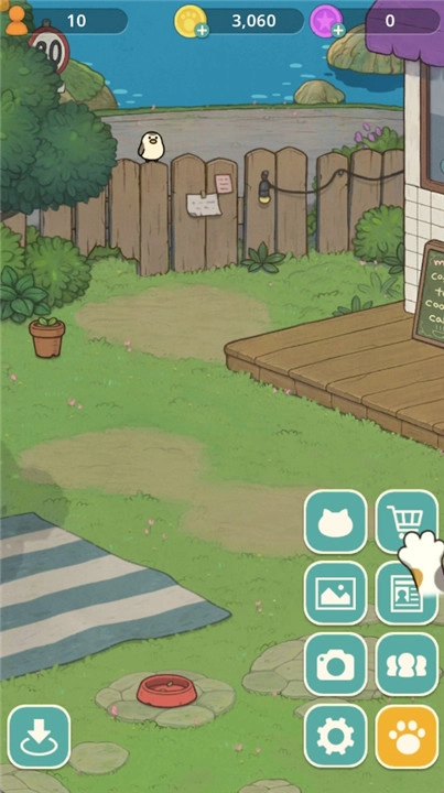 神秘猫咪字典最新版