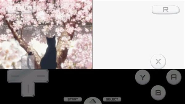 好想告诉你培育的思念图4