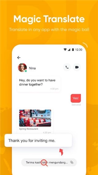 有道词典国际版4