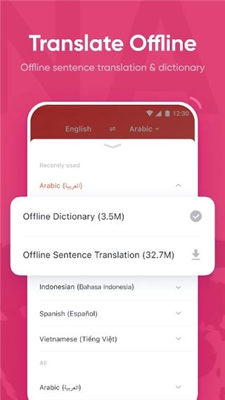 有道词典国际版5