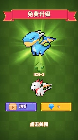 养群飞龙当宠物图2