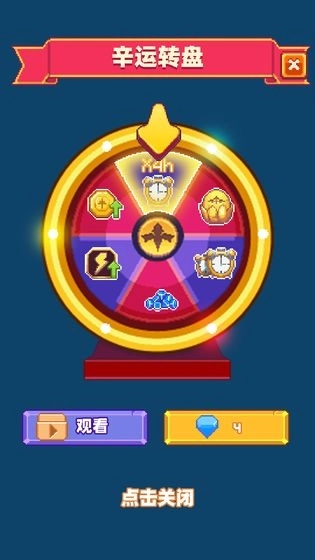 养群飞龙当宠物图3