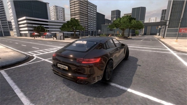 真实停车模拟X图2