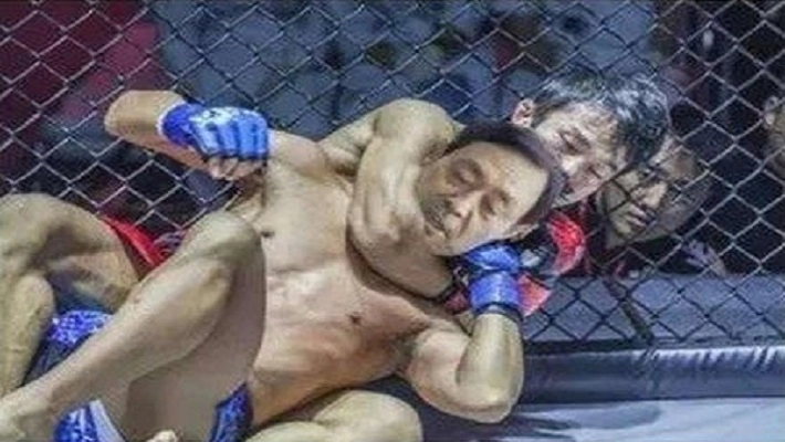 太极掌门马保国游戏手机版