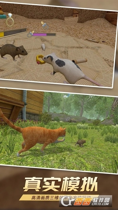 真实老鼠模拟图2