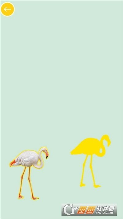 儿童学动物和颜色