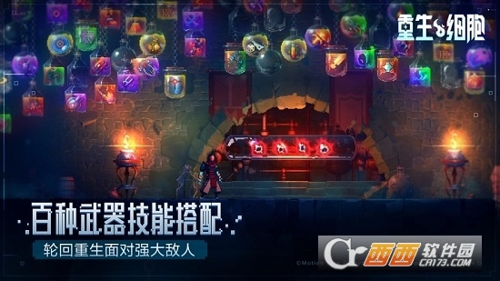 重生细胞国际版(3)