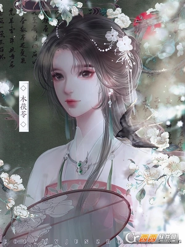 云鬓花颜安卓版图3