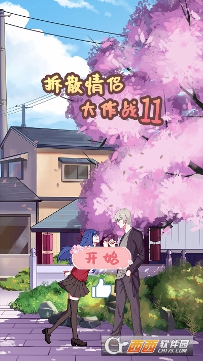 拆散情侣大作战11