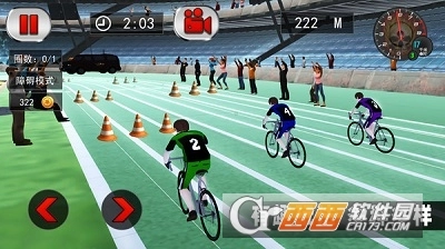 竞技自行车模拟游戏图2