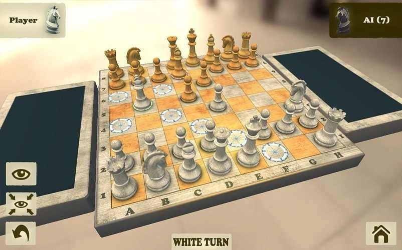 3D国际象棋图1