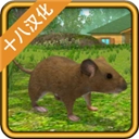 老鼠模拟器中文安卓版