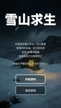雪山求生游戏(2)