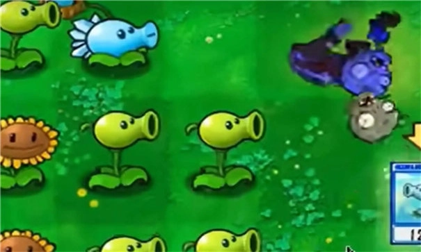 pvz抽卡重置版图6