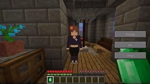 珍妮冒险6.0安装包