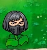 植物大战僵尸三角洲版