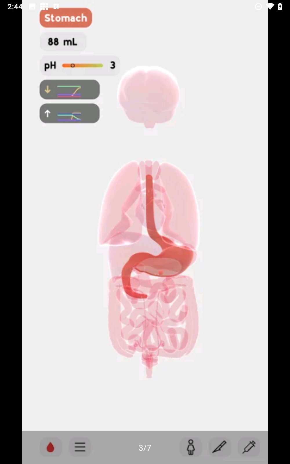 生命人体模拟器(8)