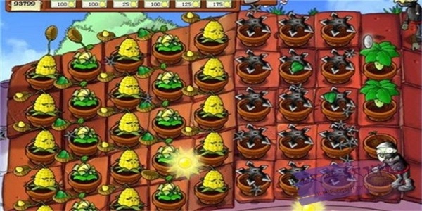 植物大战僵尸火影版1