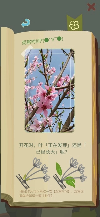 老农种树最新版(3)