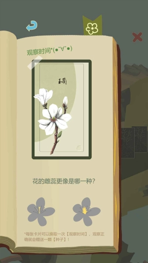 老农种树最新版(8)