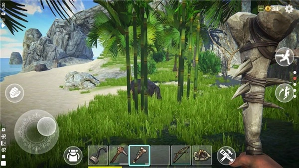 最后的海盗岛屿生存中文版截图3