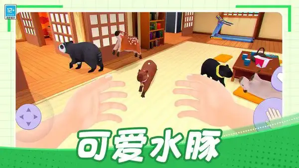 我的卡皮巴拉图2