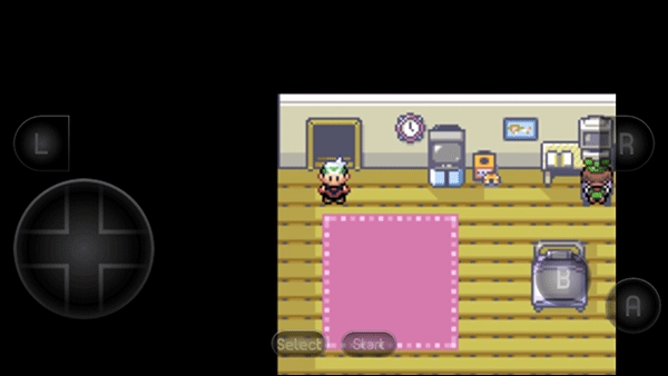 口袋妖怪革命宝石图3