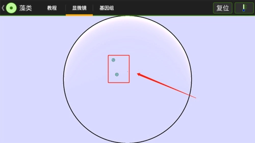 细胞实验室汉化版图3