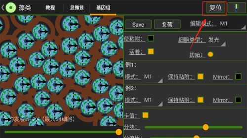细胞实验室汉化版图4