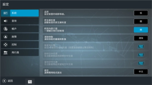 rfs模拟飞行2025图3