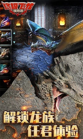 终极飞龙模拟器中文版(3)