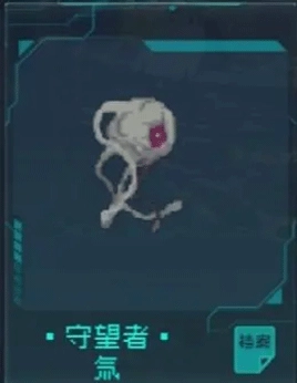 逐光启航不减反增版图17