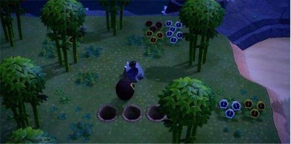 动物森友会截图2