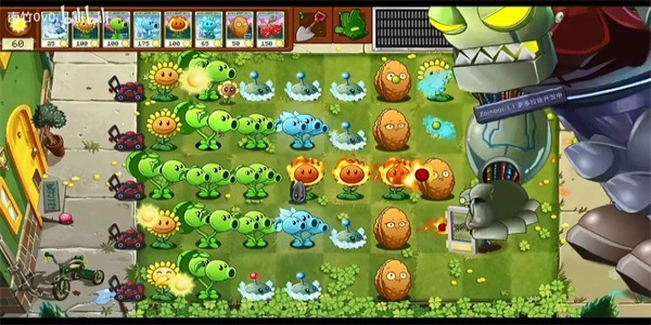 植物大战僵尸转基因版图1