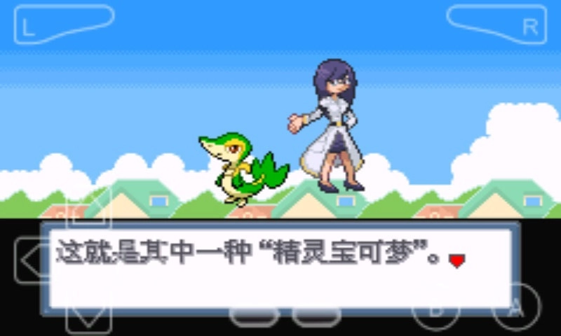 口袋妖怪白金光自带1