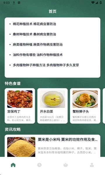 慢吞吞轻断食(3)