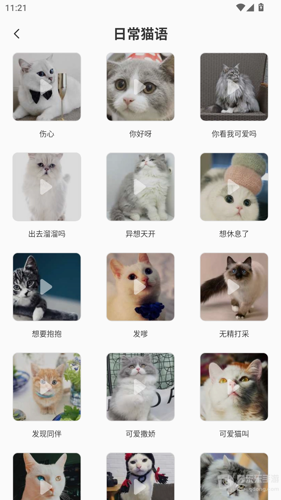 猫咪翻译机(3)