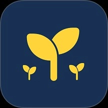 苔米日常 v1.1.250120