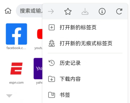 kiwi浏览器手机版9